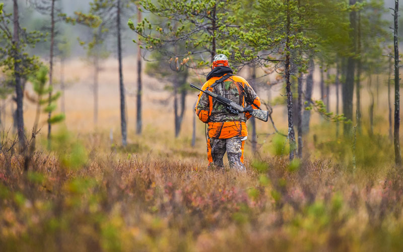 Hunter in camo and blaze orange walking in forest with rifle on his back