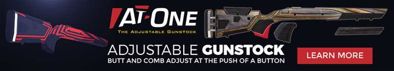 At-One Adjustable Butt and Comb Gunstock
