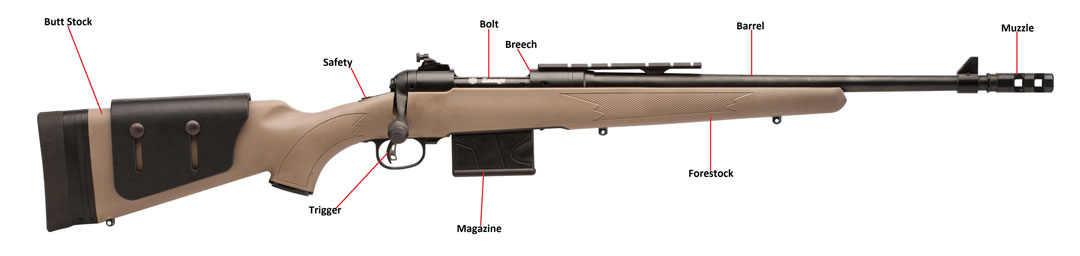 Firearm Identification Guide Parts of a Rifle