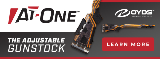 At-One - The Adjustable Gunstock