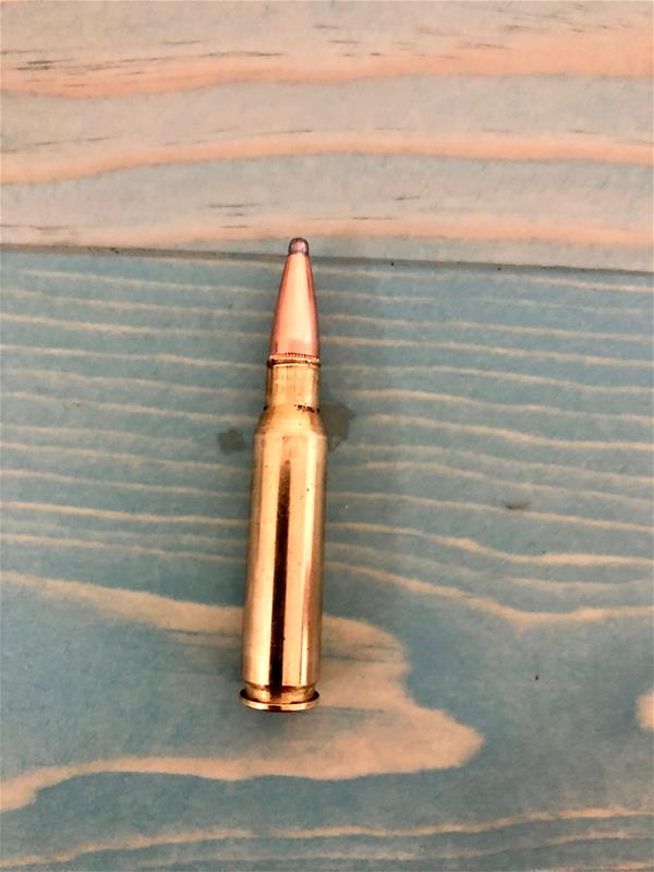 Handloading Complete cartridge-min