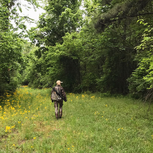 Female hunter walking to hunting stand
