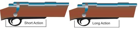 long and short action comparison