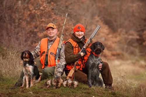 hunters dogs hunting bird woodcock