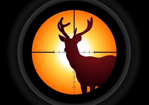 rifle lens aiming at deer