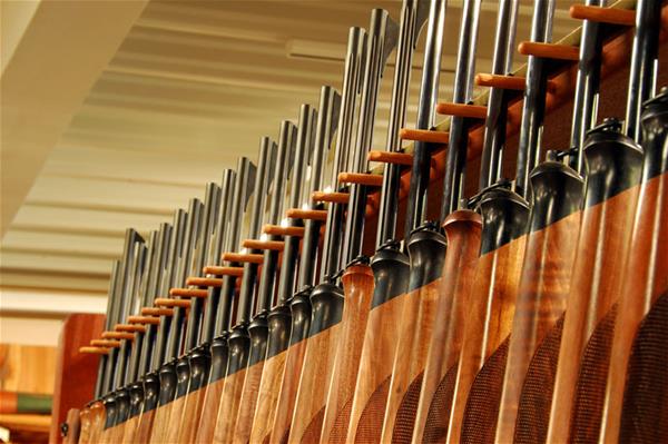 Row of rifles in firearms store