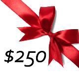 $250 GIFT CERTIFICATE PROMO CODE