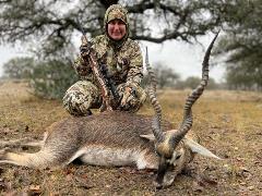 TEXAS BLACKBUCK AMANDA