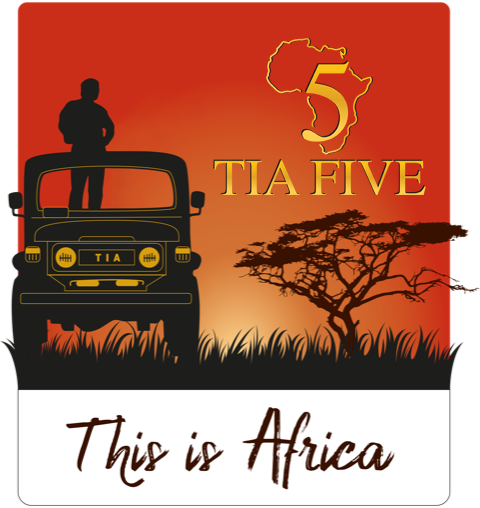 THIS IS AFRICA - TIA LOGO