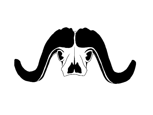 TIA skull