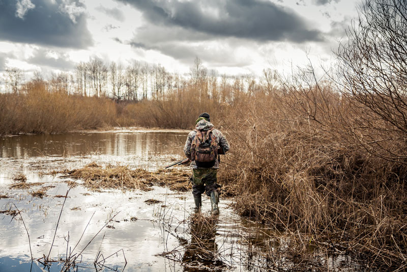 Hunter wading through swamp