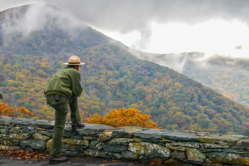 Park ranger overlooking valley