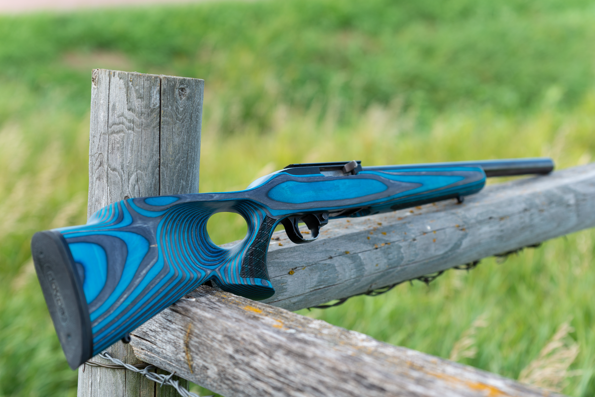 Boyds Ruger 10/22 Teal