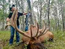 parker and his elk sky spike camp